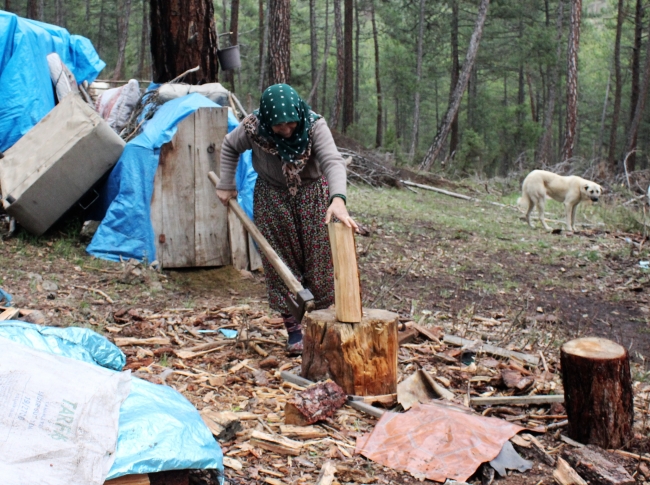 34 yıldır ormanda keçileriyle birlikte yaşıyorlar